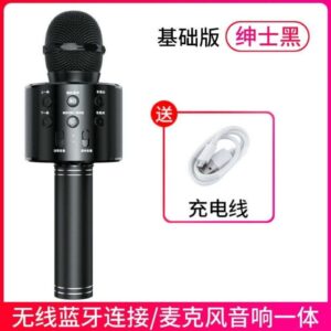 Wireless microphone